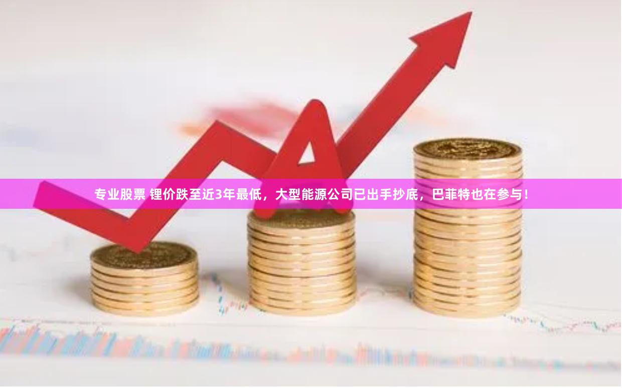 专业股票 锂价跌至近3年最低，大型能源公司已出手抄底，巴菲特也在参与！